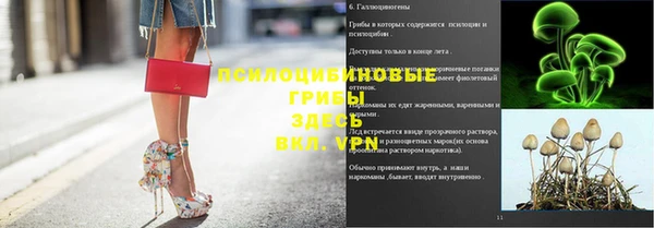 a pvp Абаза