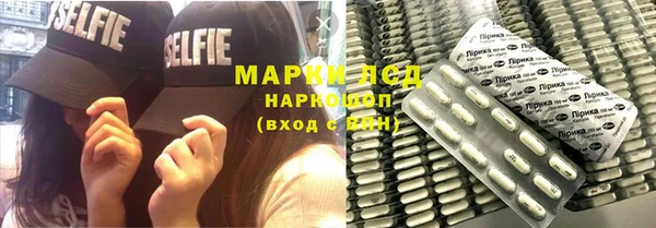 хмурый Каменка