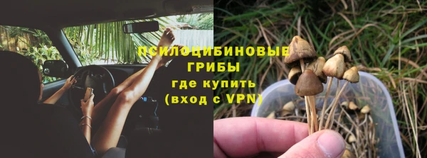 2c-b Абдулино