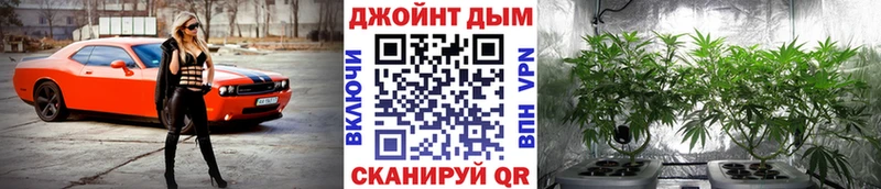площадка как зайти  Струнино  Канабис индика 